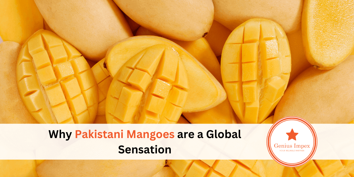 Why Pakistani Mangoes are a Global Sensation