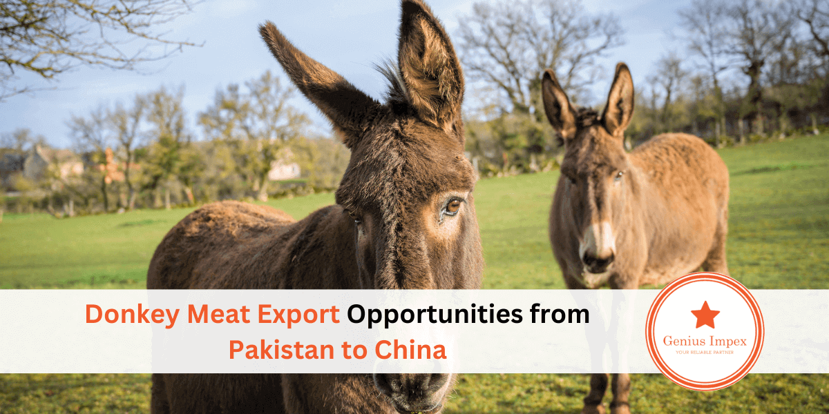 Donkey Meat Export Opportunities from Pakistan to China