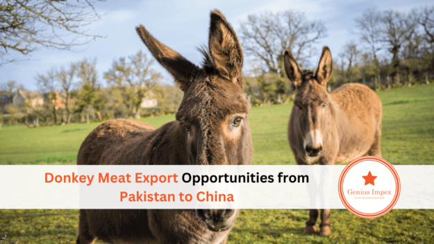 Donkey Meat Export Opportunities from Pakistan to China