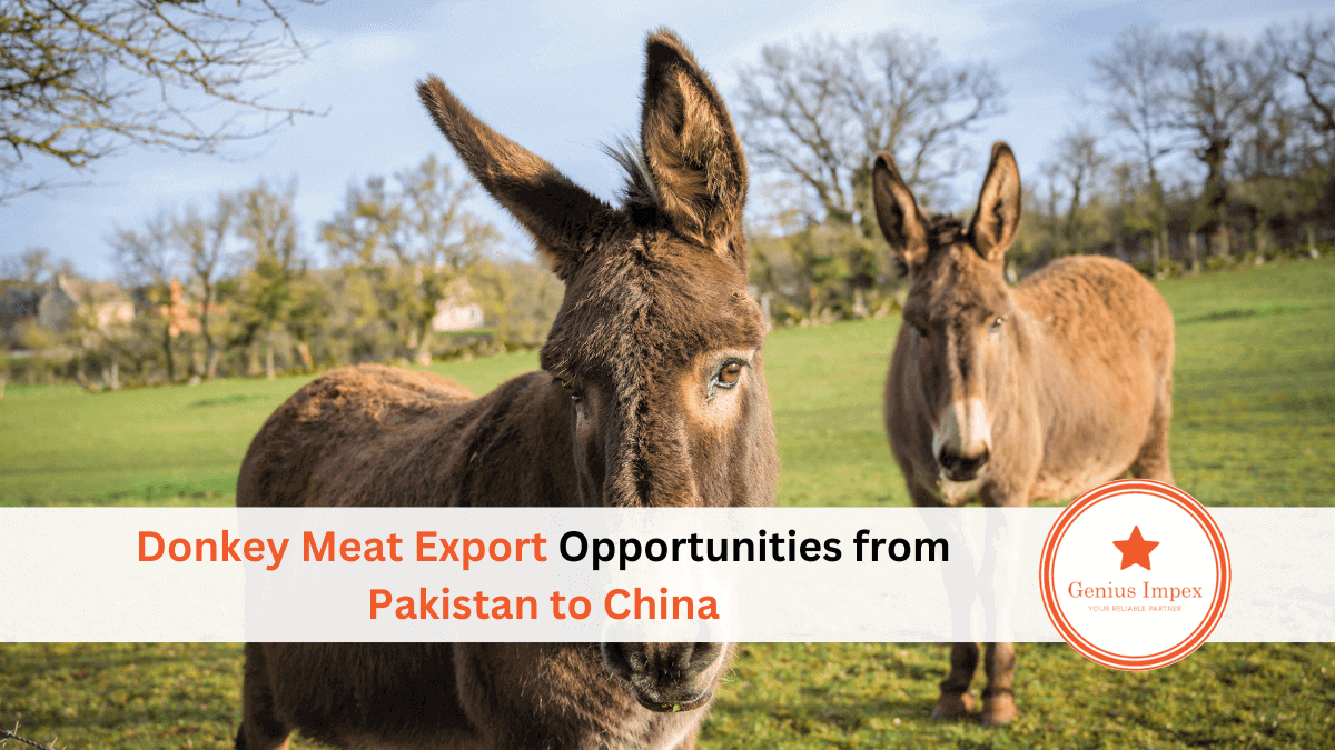Donkey Meat Export Opportunities from Pakistan to China